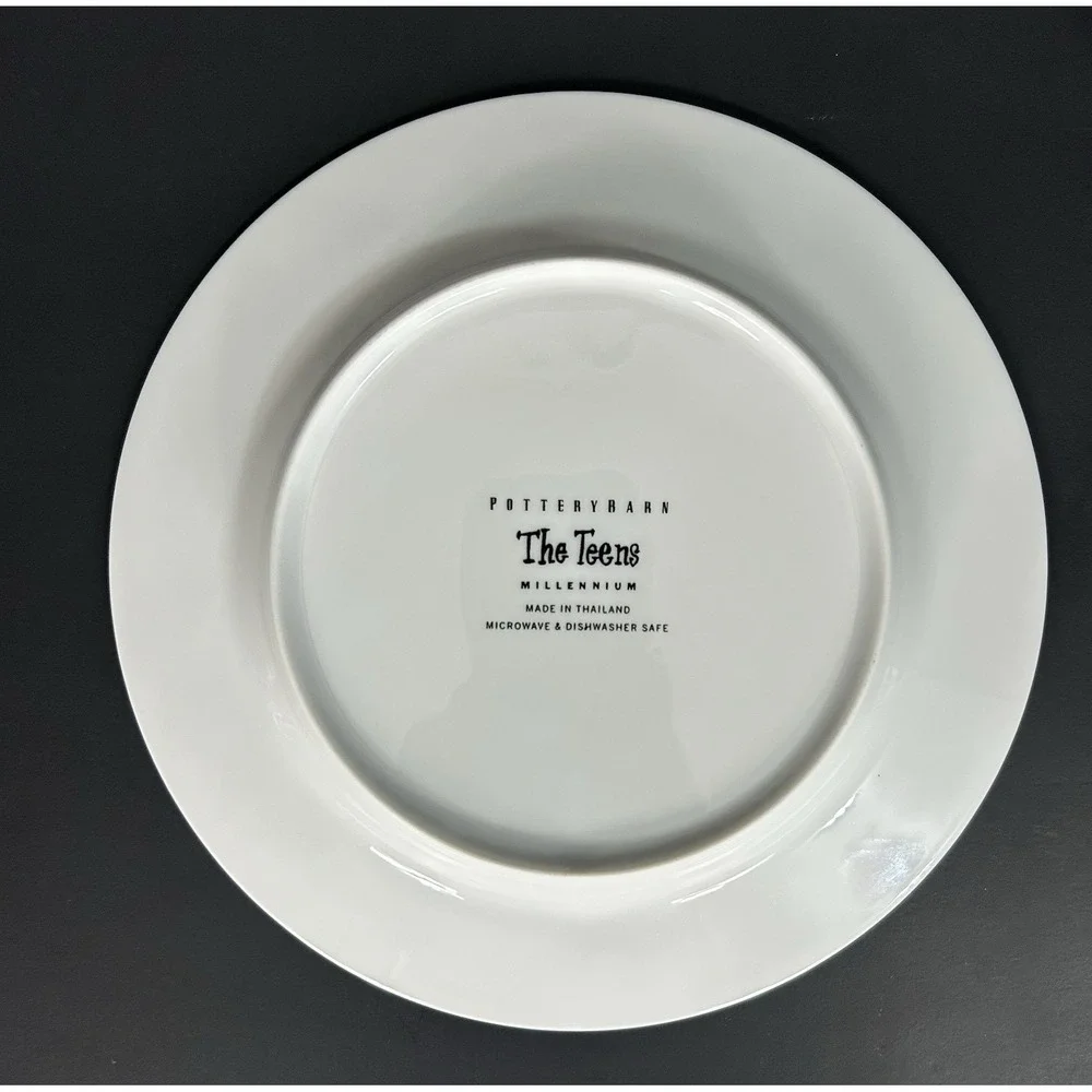 Pottery Barn Millennium Series Decade Salad Dessert Plates Set of 12 Retro